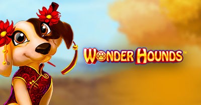 Wonder Hounds