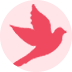 Dove Casino